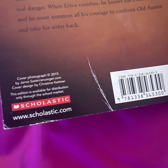 Horror/thriller book, TOOK by Mary downing Hahn of ghost story - Picture 2 of 4